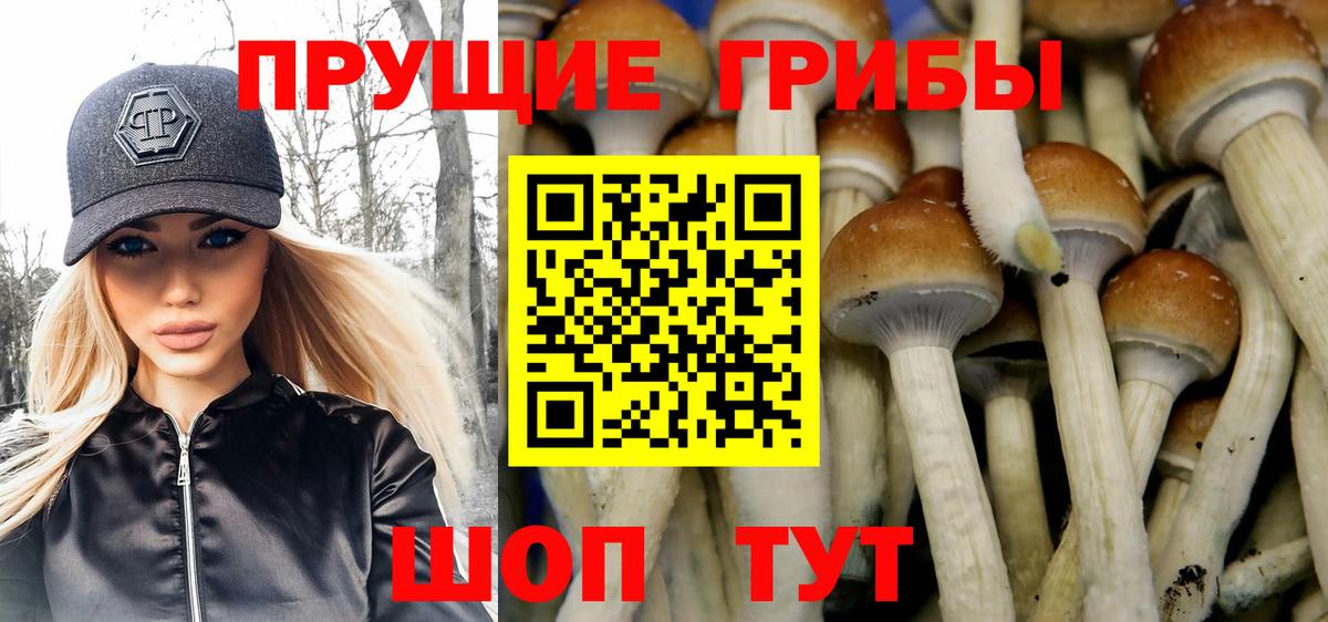 Псилоцибиновые грибы MAGIC MUSHROOMS  Галлюциногенные грибы мицелий  наркотики  Вход с VPN  Новосибирск 